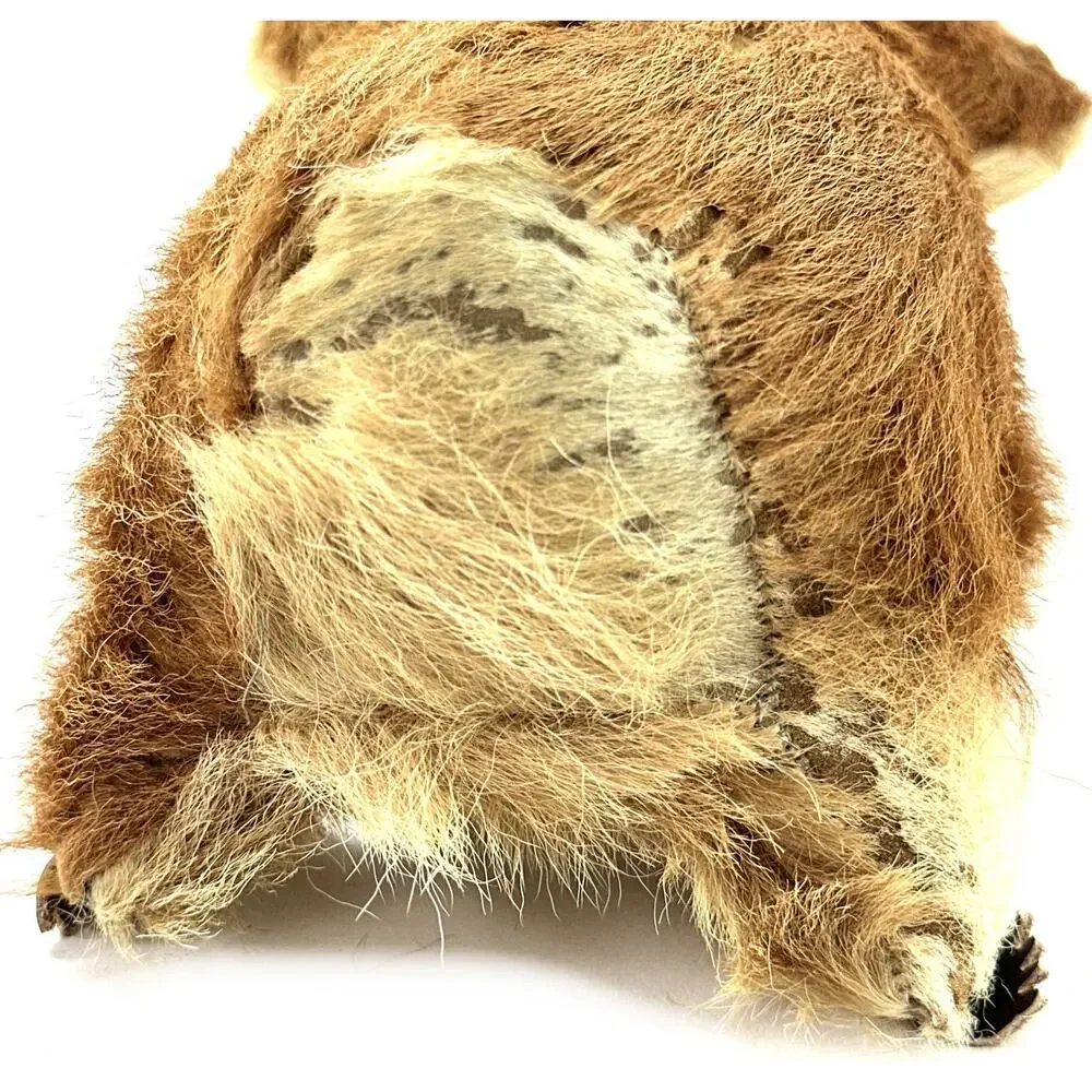 Vintage Koala Bear Plush West Germany Calf Fur Stuffed Animal Mid Century Tagged